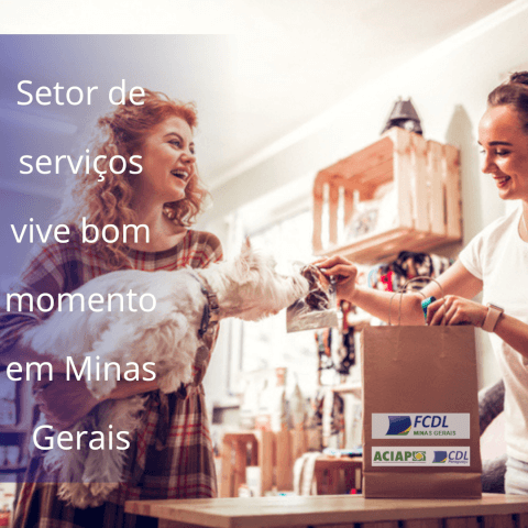Leia mais sobre o artigo 